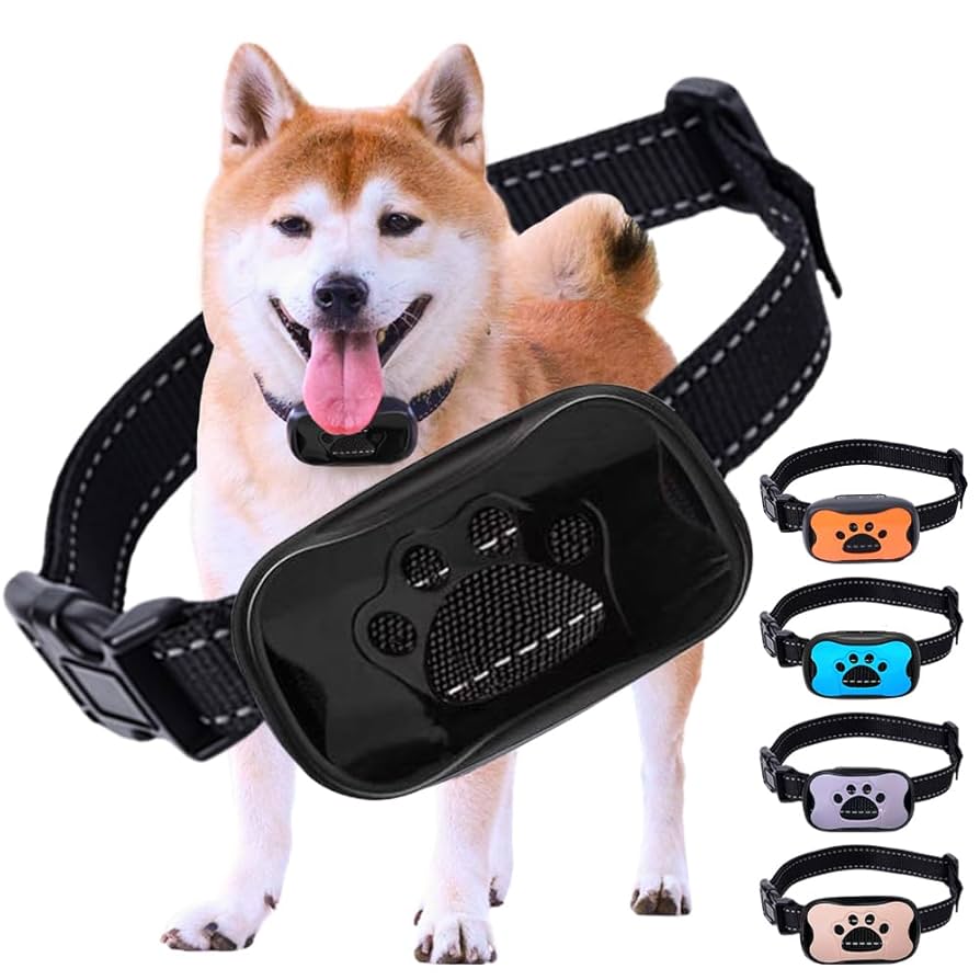 犬伏 Amazon | TTFP 無駄吠え防止首輪 小中型犬専用首輪 53g超軽量